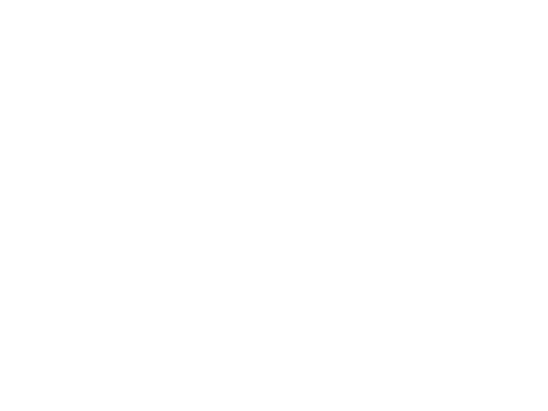 connieboydmagic.ai 4