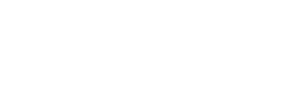 connieboydmagic.ai 4